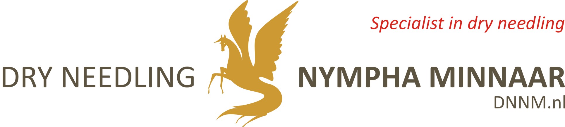 Dry Needling Nympha Minnaar